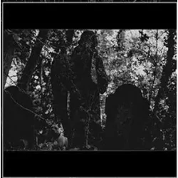 Pustota- Pustota